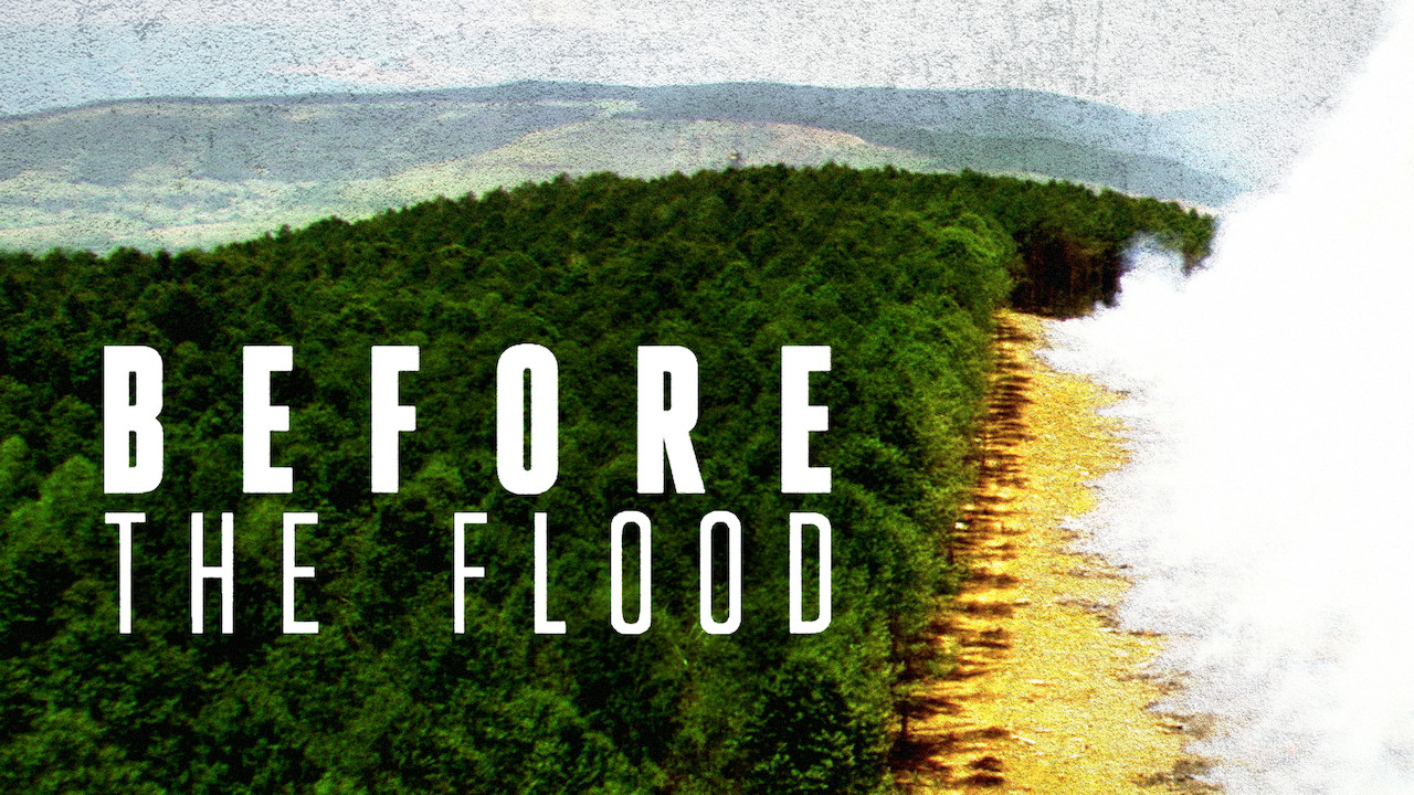 2016 Before The Flood 2016 Before The Flood