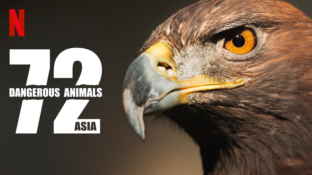 Is 72 Dangerous Animals Asia 2018 Available To Watch On UK Netflix