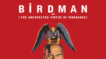 Birdman or (The Unexpected Virtue of Ignorance)