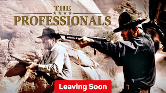 The Professionals (1966)