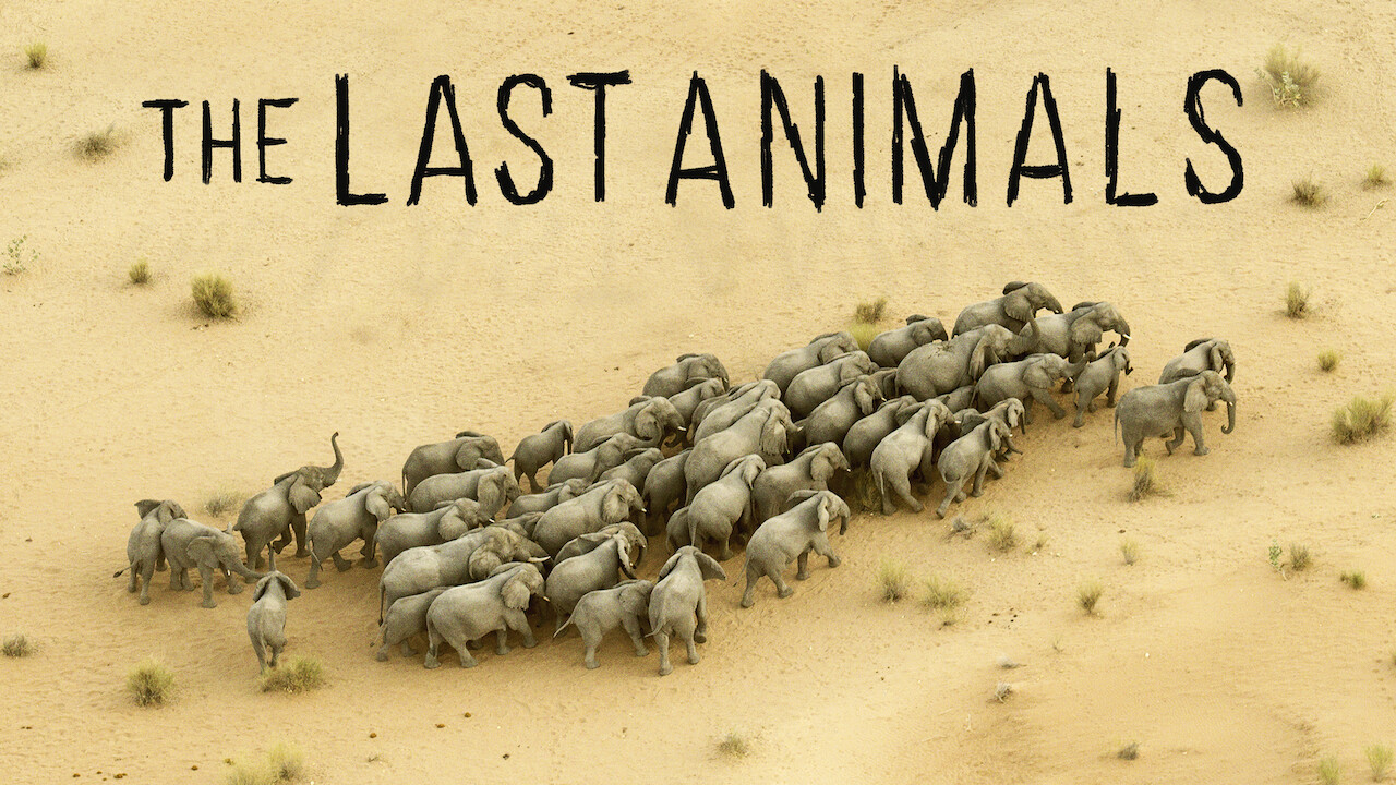 Is �The Last Animals� on Netflix UK? Where to Watch the Is �The Last Animals� on Netflix UK? Where to Watch the