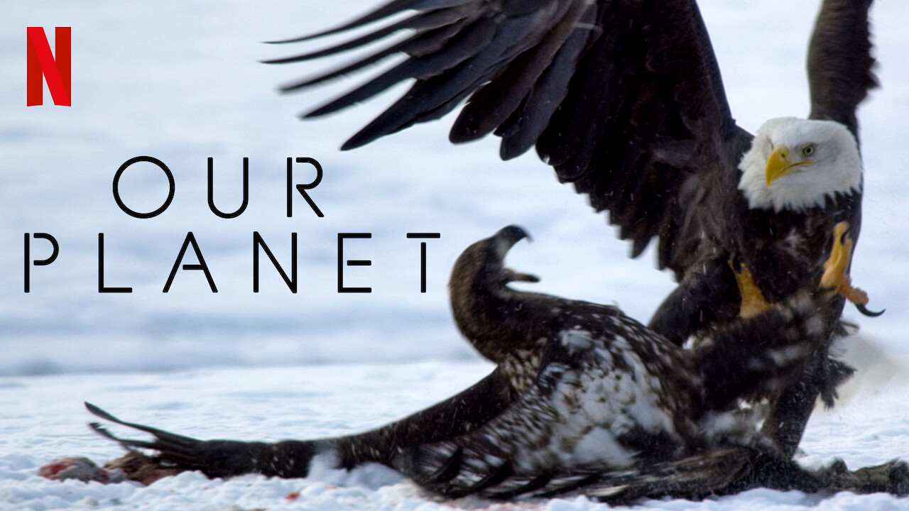 Is 'Our Planet' (2019) available to watch on UK Netflix - NewOnNetflixUK