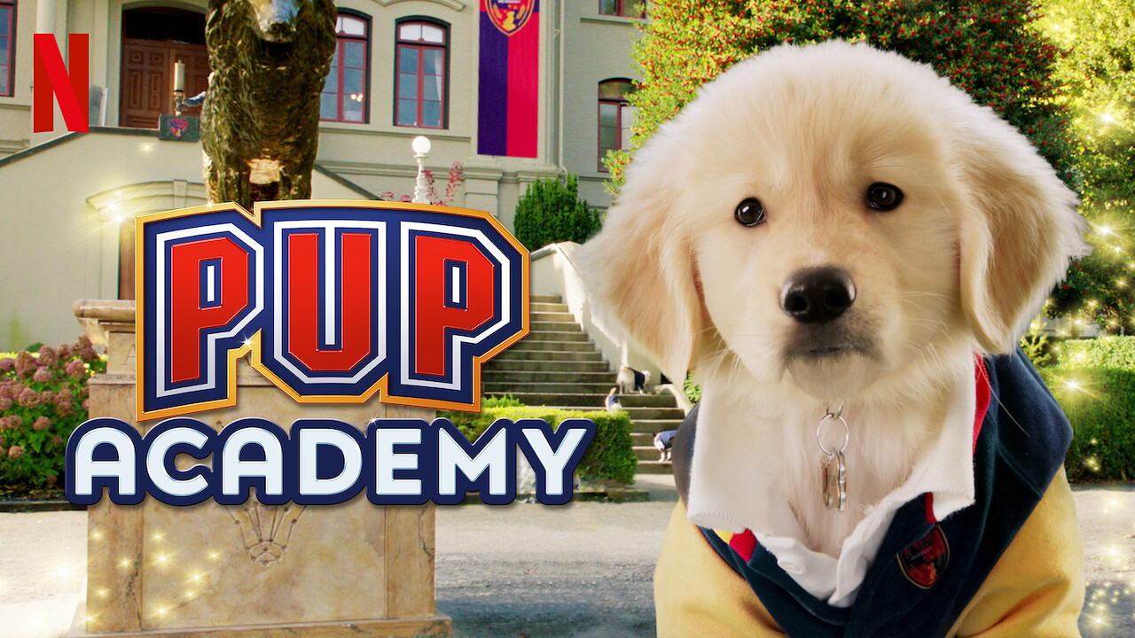 Is 'Pup Academy' (2020) available to watch on UK Netflix - NewOnNetflixUK