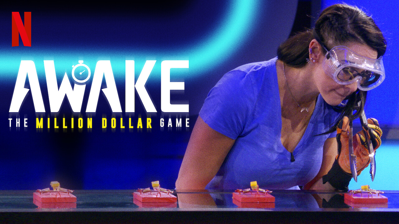 awake the million dollar game