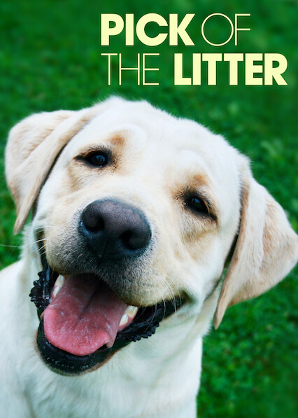 Is Pick Of The Litter On Netflix Where To Watch The Documentary Newonnetflix Info