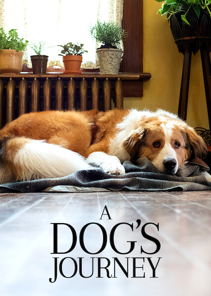 a dog's journey on netflix